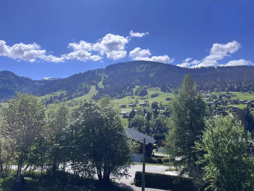 OPPORTUNITÉ - PRAZ SUR ARLY