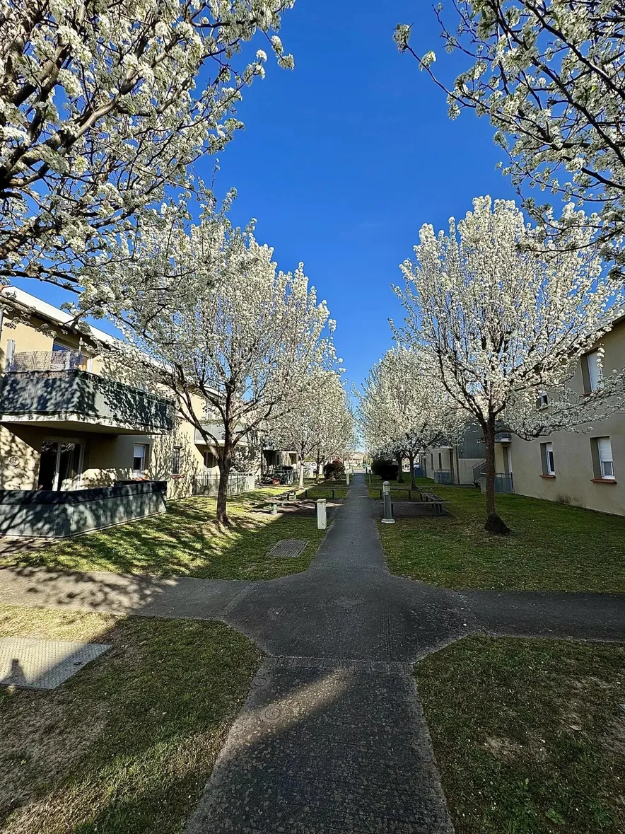 Appartement 3 pièces - Plaisance du touch, Proche de Toulouse - avec terrasses, niché au coeur d'un quartier résidentiel