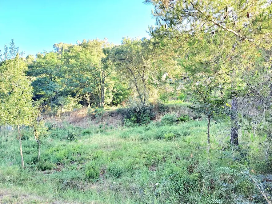 Terrain constructible + de 310 m2 + étage avec vue dégagée à Vins-sur-Caramy – Emplacement idéal