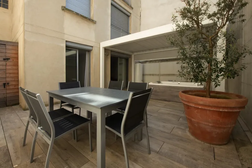 Bien d'exception à Paris - Terrasse de 45m²