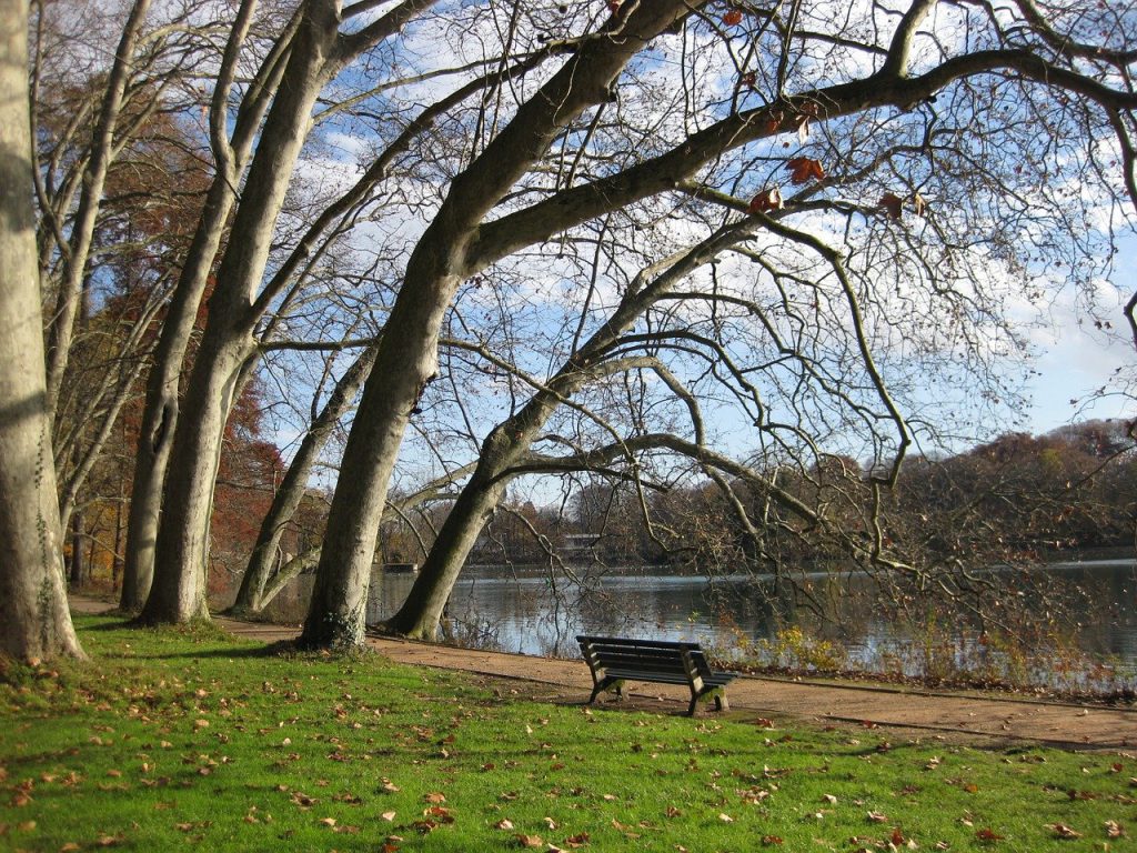 Parc de la Tête d'Or à Lyon