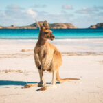 australie_498